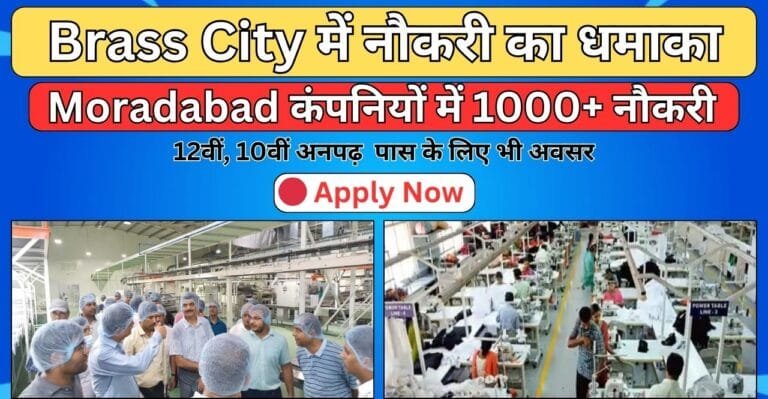Job in Moradabad