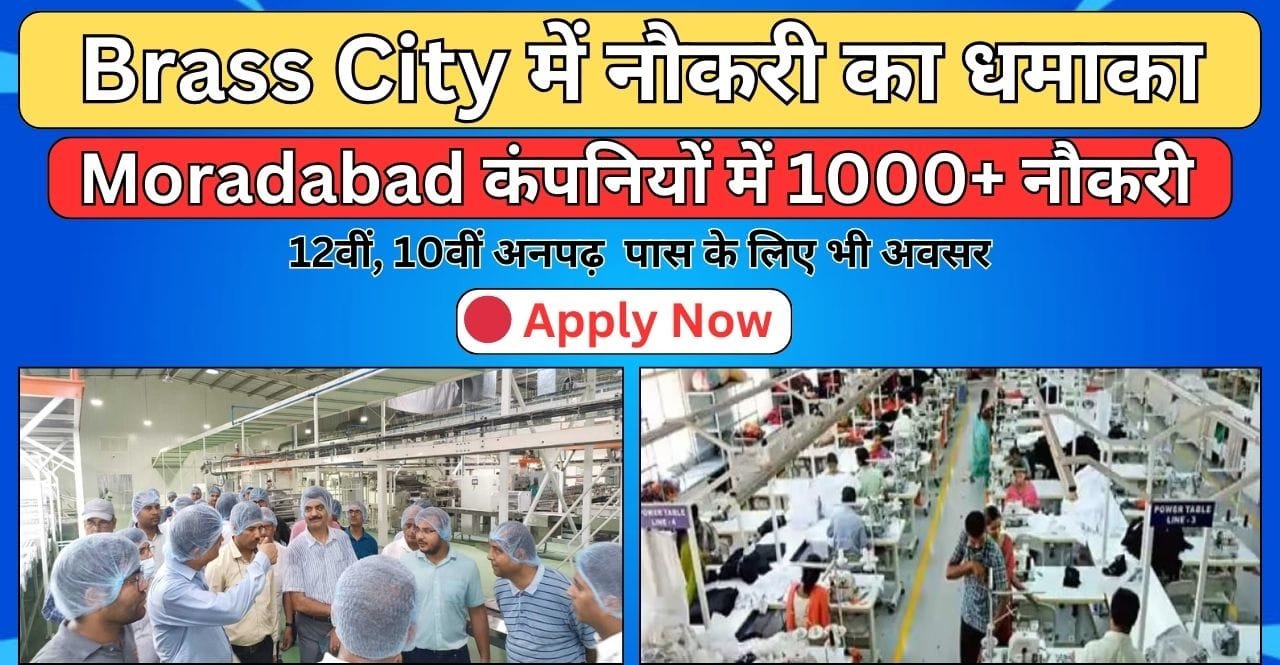 Job in Moradabad